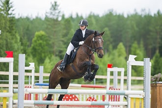 Hevonen Sara Koskinen