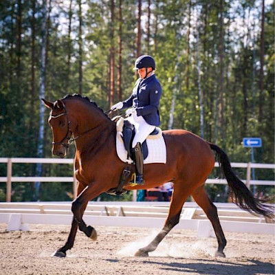 LaKu Stall, hevoset: Eliot "Elmo"
