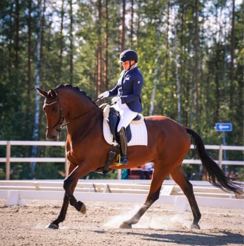 Hevonen Eliot "Elmo"